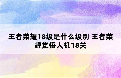 王者荣耀18级是什么级别 王者荣耀觉悟人机18关